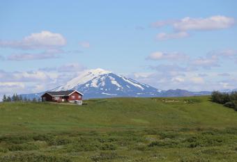 Guest House Svetlana has Balcony rooms