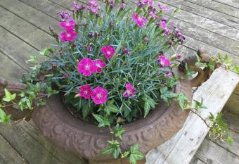 Lillstuga Str  mma has Balcony rooms