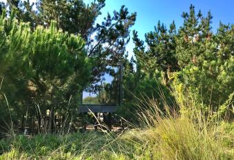 Desertas Beach and Sport has Balcony rooms