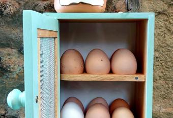 Nero Gioconda allows 18 year olds to book a room