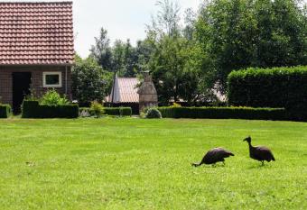 B&B Ruurlo Belle Rose allows 18 year olds to book a room