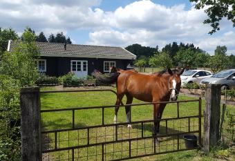 De Priesnitzhoeve has Balcony rooms