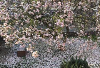 chambres d hotes  allows 18 year olds to book a room