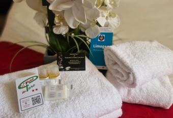 H  tel du Parc Limoges & Restaurant  allows 18 year olds to book a room