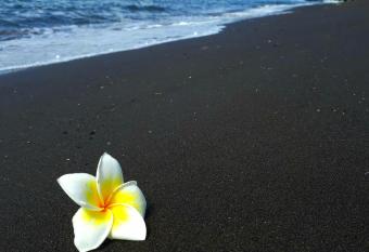 Gede Homestay has Balcony rooms