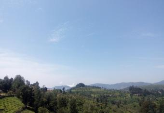 Dream Nest Resorts has Balcony rooms