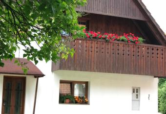 Apartment Gaja - Golte has Balcony rooms