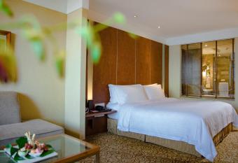 Dekin Hotel Chongqing Jiefangbei has rooms with a private hot tub