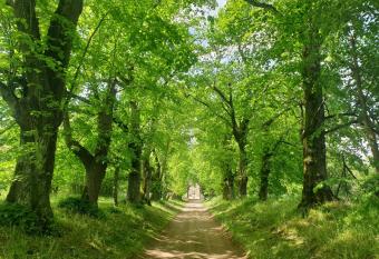 Ch  teau de Colliers allows 18 year olds to book a room