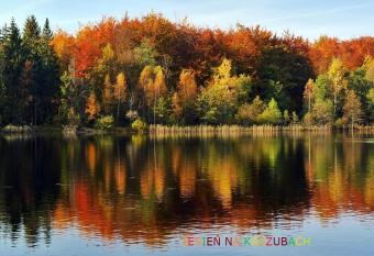 LUKSUSOWY- NOWOCZESNY DOM W LESIE has Balcony rooms