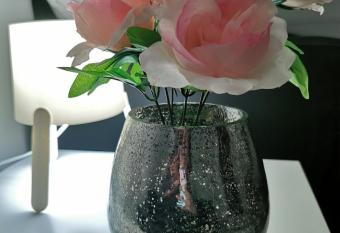 Guest House Dana has Balcony rooms