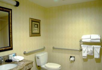 Hampton Inn & Suites Birmingham-Hoover-Galleria has rooms with a private hot tub