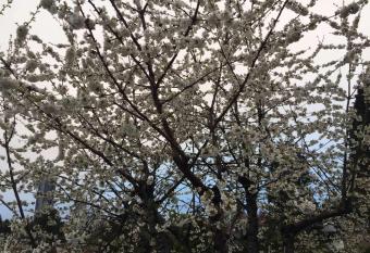 Brentwood Home allows 18 year olds to book a room