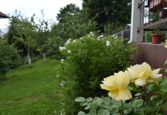 Apartman MirA allows 18 year olds to book a room