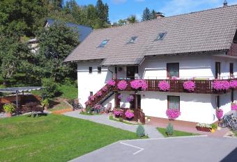 Apartments Lake Bohinj Medja has Balcony rooms