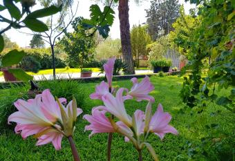 B&B Welcome has Balcony rooms