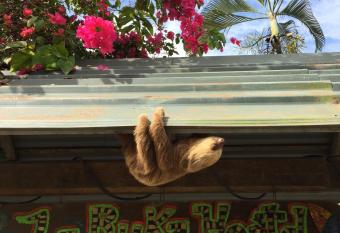 La Ruka Hostel allows 18 year olds to book a room