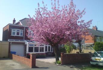 Cherry Blossom Guest House allows 18 year olds to book a room