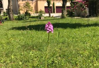 Logis H  tel Restaurant Le Castel Fleuri has Balcony rooms