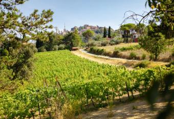 RomagnaBNB Il Vigneto Cottage has Smoking rooms