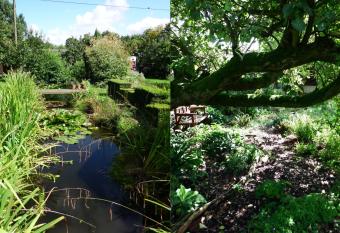 Kenilworth Garden Accomodation allows 18 year olds to book a room