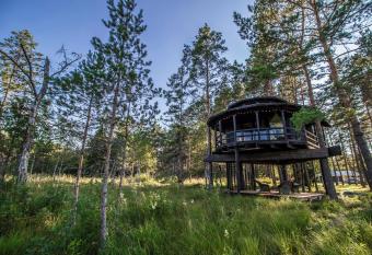 Sambliku Treehouse has Balcony rooms