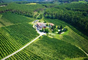 Hotel Fl  tscherhof has Balcony rooms