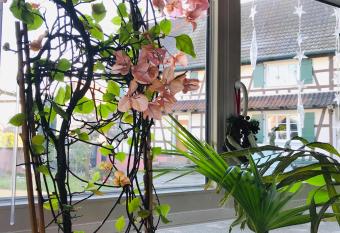 Maison d h  tes Aux Deux Cigognes has Balcony rooms