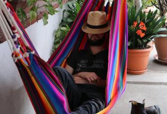 Yellow House Hostel B&B has Balcony rooms