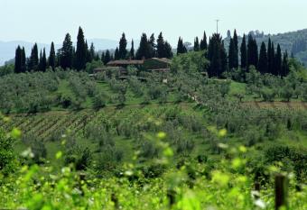 Fattoria Casa Sola has Balcony rooms