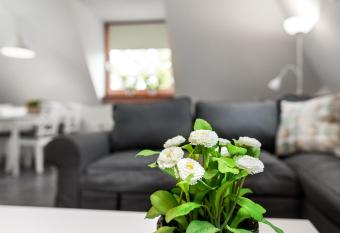 Vakantieappartementen centrum Oudewater has Balcony rooms