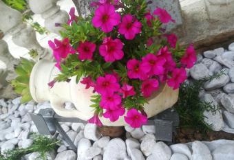 Apartman Pelcic has Balcony rooms