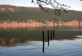 Foyers Roost allows 18 year olds to book a room