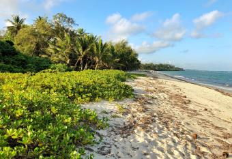 Tiwi Tatu allows 18 year olds to book a room