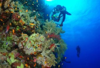 Cozy Apartment Freedom has rooms with a private hot tub