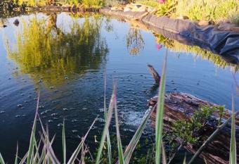 Apartament u Beti has Balcony rooms