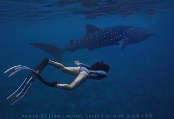 White Sand Dhigurah has Balcony rooms