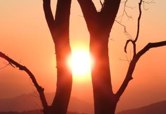 Madrugada allows 18 year olds to book a room