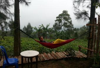 Harumi Dieng has Balcony rooms