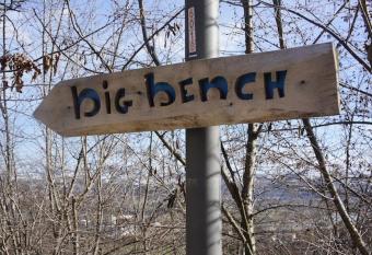 DAYDREAMER bidrino allows 18 year olds to book a room