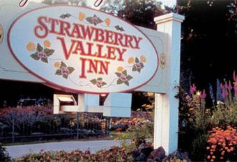 Strawberry Valley Inn allows 18 year olds to book a room