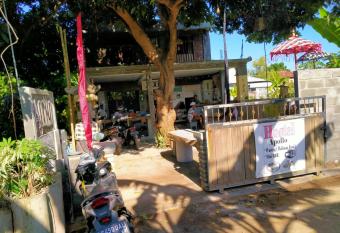 Apollo Hostel allows 18 year olds to book a room