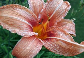 FeWo Lay has Balcony rooms