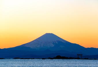 Scapes The Suite has Balcony rooms