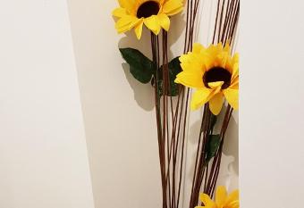 Dreamin Athens - Monastiraki Apartments has rooms with a private hot tub