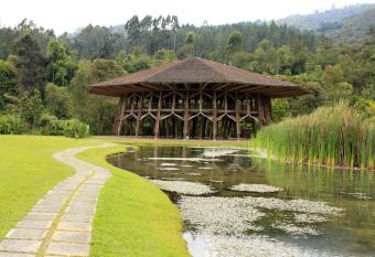 Estelar Recinto Del Pensamiento Hotel Y Centro De Convenciones allows 18 year olds to book a room
