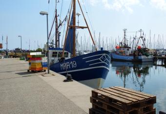 Schlei Idyll has Balcony rooms