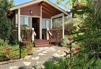 The Galilee Cabin allows 18 year olds to book a room