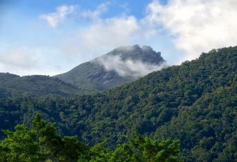 Daintree Peaks ECO Stays allows 18 year olds to book a room