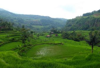 Bule Homestay Cianjur has Balcony rooms